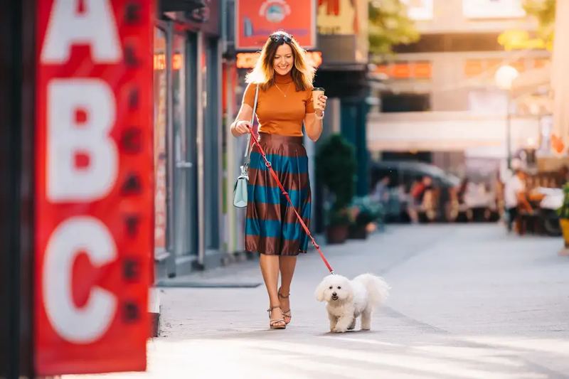 Lady walking a dog